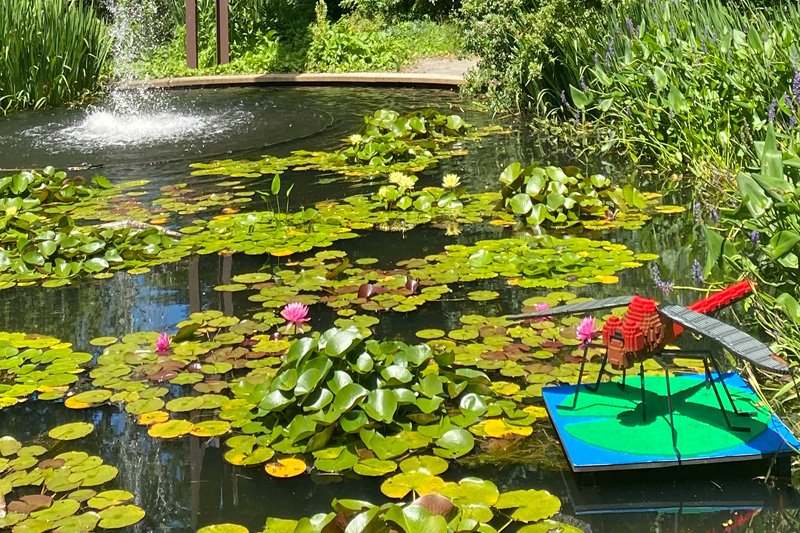 Dragonfly sculpture in lily pond
