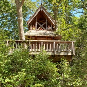 Hidden Hollow Tree House