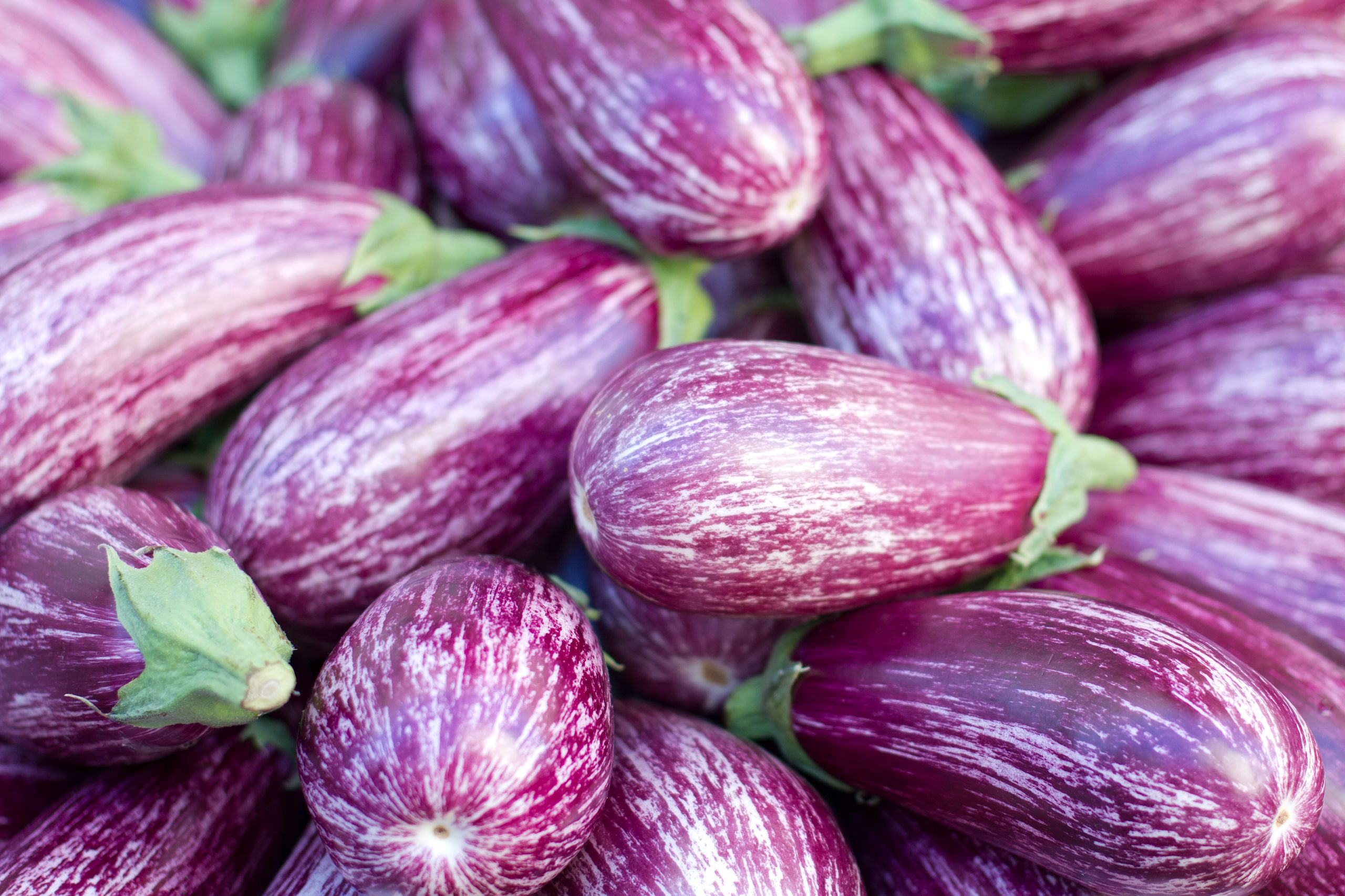 Vegetable Plants In Ornamental Gardens Heritage Museums