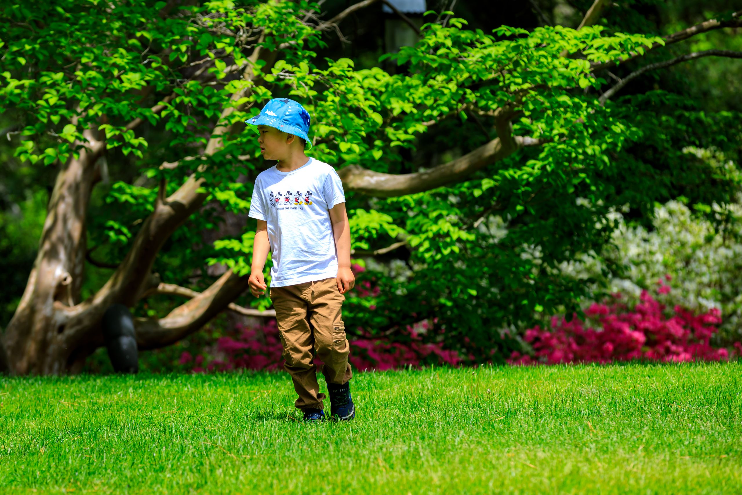Daily Admissions Heritage Museums Gardens Daily Admissions Heritage Museums Gardens