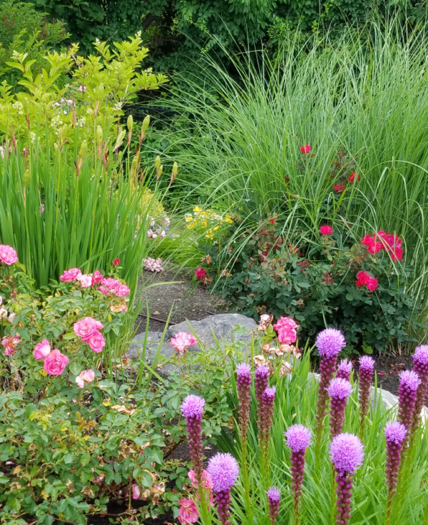 Perennial Trio Green. Perennial body.