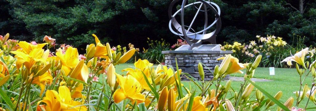 Lillys and dundial