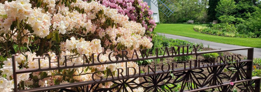 Garden of the Senses